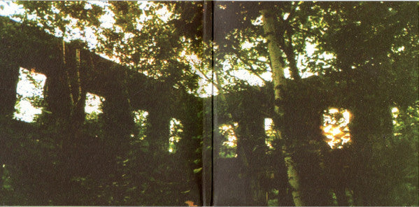 Pinegrove : 11:11 (CD, Album)