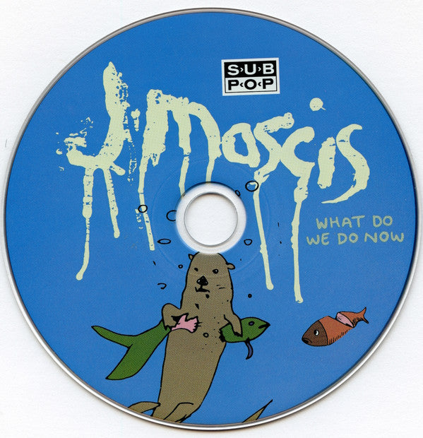 J Mascis : What Do We Do Now (CD, Album)