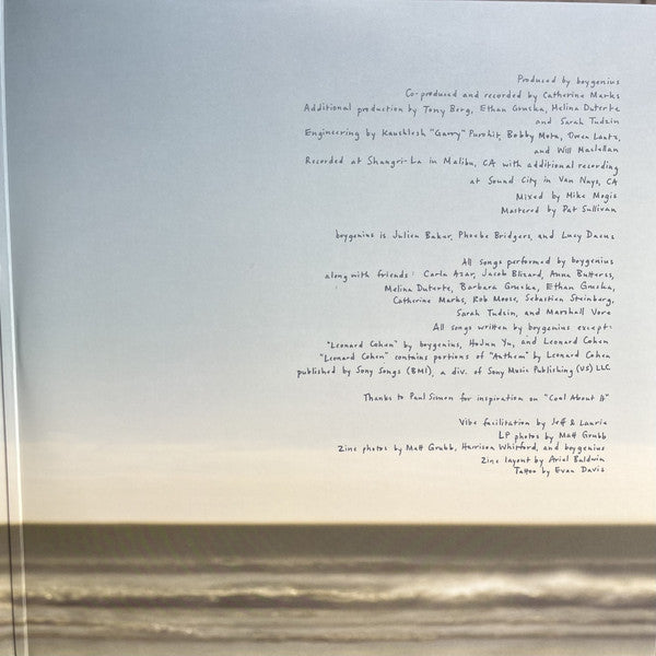 boygenius : The Record (LP, Album, Gat)
