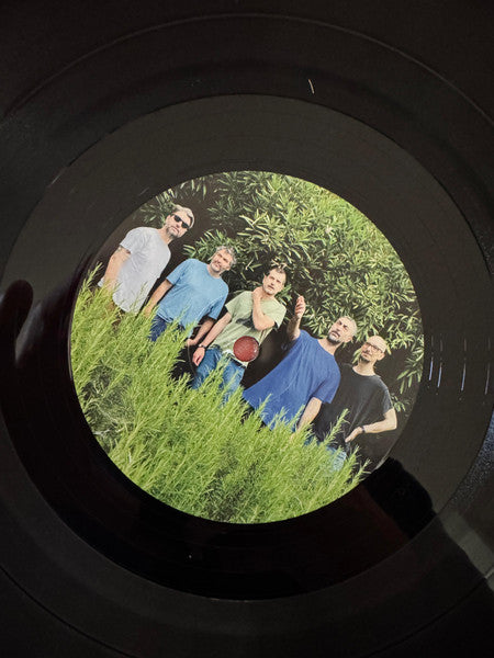 Fine Before You Came : C’è Ancora Amore (LP)