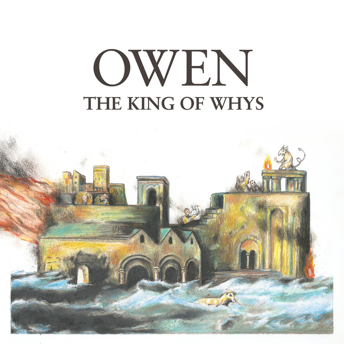 Owen The King of Whys