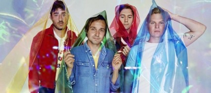 Grizzly Bear 2017