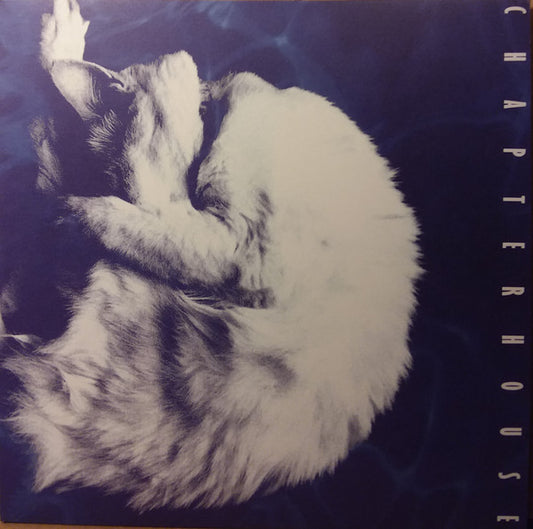 Chapterhouse : Whirlpool (LP, Album, RE)