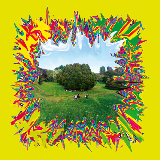 Cosmo (36) : La Terza Estate Dell'Amore (2xLP, Album)