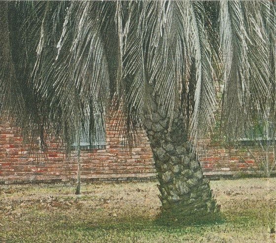 Arcade Fire : The Suburbs (CD, RE)