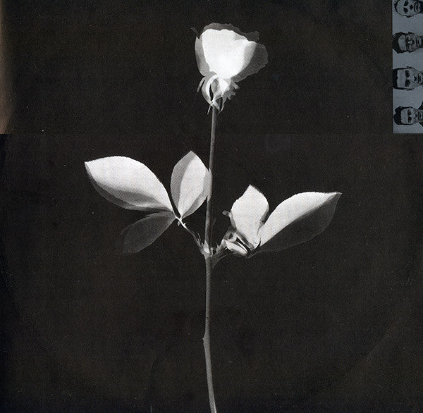 Depeche Mode : Violator (LP, Album)