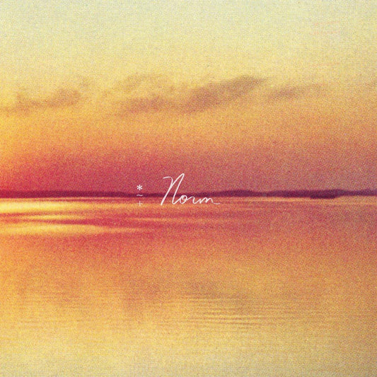 Andy Shauf : Norm (CD, Album)