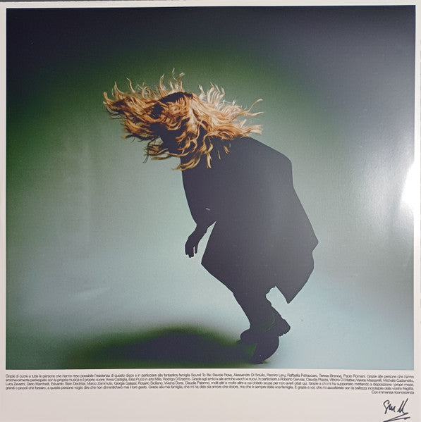Giulia Mei : Io Della Musica Non Ci Ho Capito Niente (LP, Album)