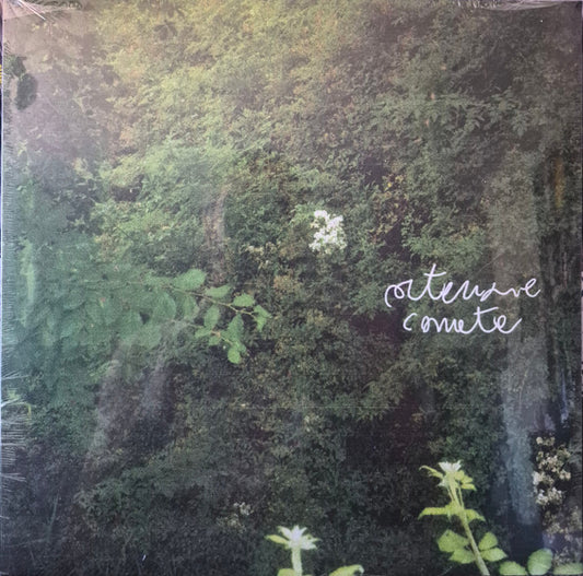 Merli Armisa : Ortensie Comete (LP)