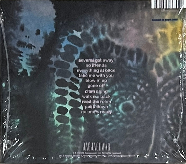 Dinosaur Jr* : There Near (CD, Album)