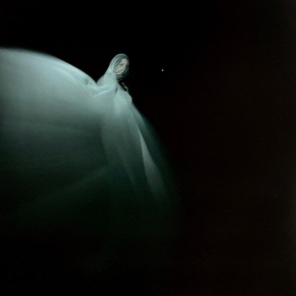 Chelsea Wolfe : The Dark (LP)
