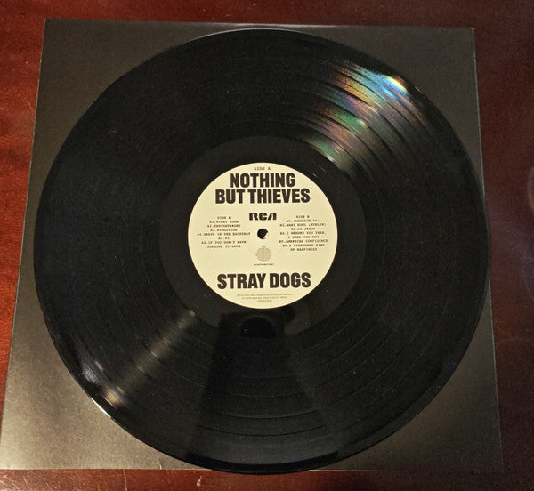 Nothing But Thieves : Stray Dogs (LP, Album)