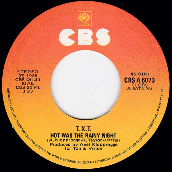 T.X.T. : Girl's Got A Brand New Toy (7")