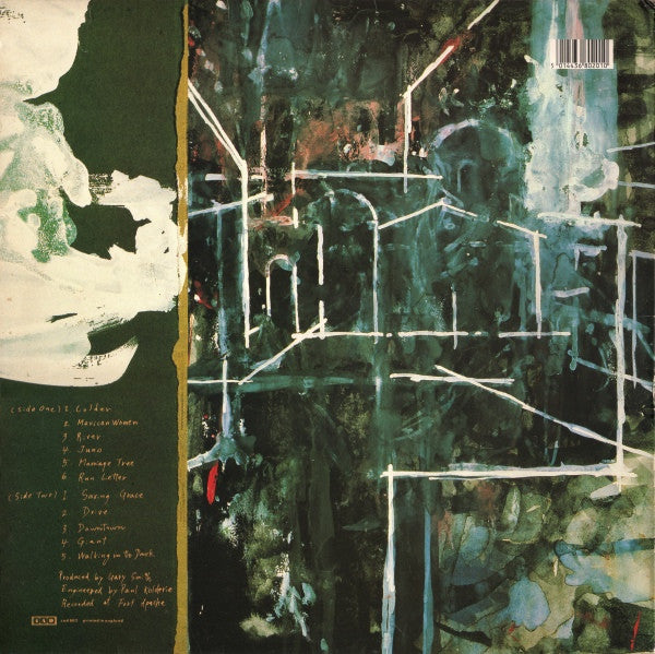 Throwing Muses : House Tornado (LP, Album)