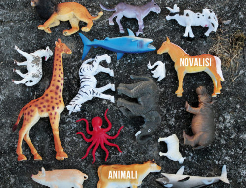 Novalisi – Animali (Undersoundz Italy)